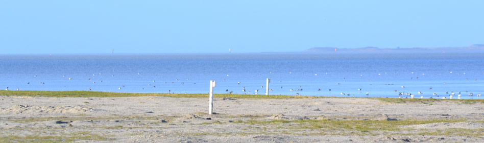 Ferienhaus Sandkorn Carolinensiel - Slide  2