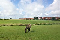 Ferienhaus Sandkorn Carolinensiel - Bootswegansicht