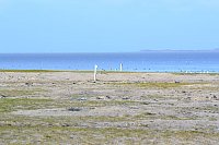 Ferienhaus Sandkorn Carolinensiel - Umgebung 4