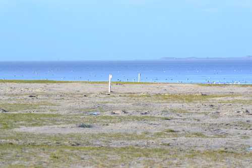 Ferienhaus Sandkorn Carolinensiel - Umgebung 4