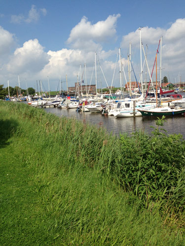 Ferienhaus Sandkorn Carolinensiel - Umgebung 5